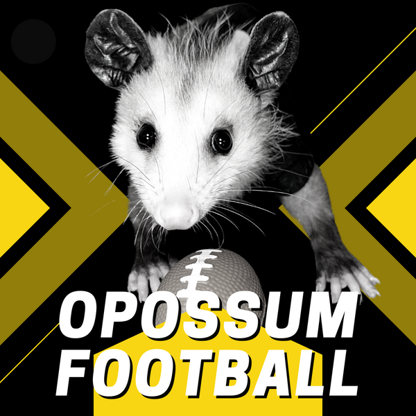 Team Decaf Wins Opossum Bowl 2022!