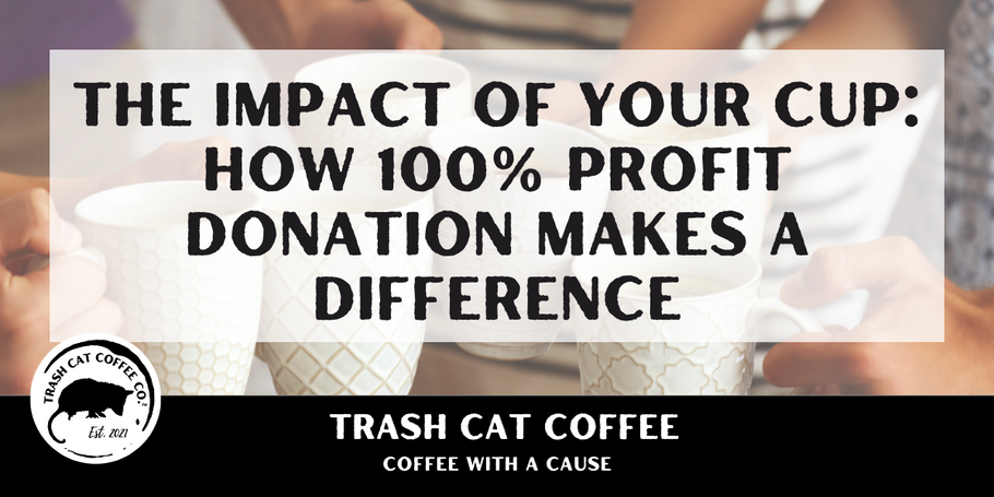The Impact of Your Cup: How 100% Profit Donation Makes a Difference