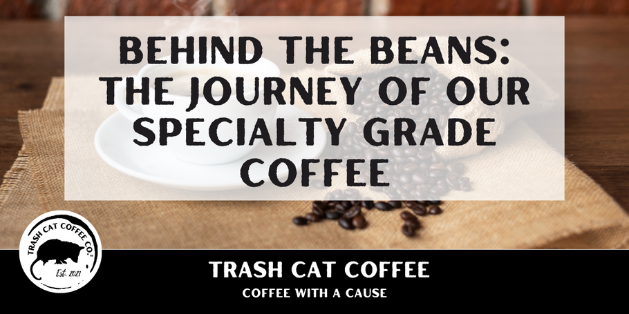 Behind the Beans: The Journey of Our Specialty Grade Coffee